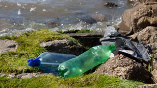 Даже не вздумайте сюда ехать: зеленая жижа и дикие мужчины на российских пляжах в 2024