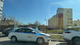 На рязанских дорогах за сутки произошло 12 ДТП