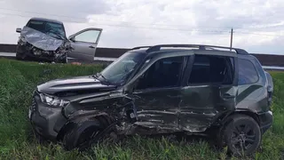 В Скопинском районе в двух ДТП пострадали четыре человека и лось