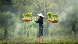 Сколько стоит жить или отдыхать во Вьетнаме в 2024 году: цены в разных городах и полезные советы