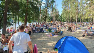 Прогноз на весну: Вильфанд рассказал, когда придет тепло