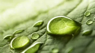 В залитых ливнями регионах погода начинает налаживаться