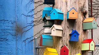 2 апреля рязанцы зовут собирать скворечники