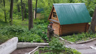 Власти разрешили строительство гостиницы рядом с лесным массивом в Солотче 