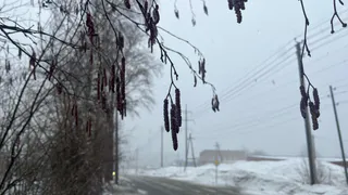 22 марта Коми ждет дневной "плюс" на всей территории