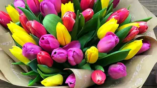 Pensnews.Ru поздравляет прекрасных дам с 8 Марта