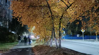 Так делает большинство людей: эта ночная привычка говорит о низком интеллекте – проверьте себя