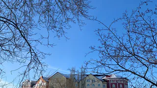 Погода на неделю: в Рязани ожидаются резкие перепады температур