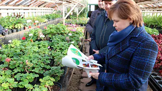 В Рязани в 2022 году высадят свыше 400 тыс. цветов