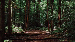 В Рязанской области отменили особый противопожарный режим