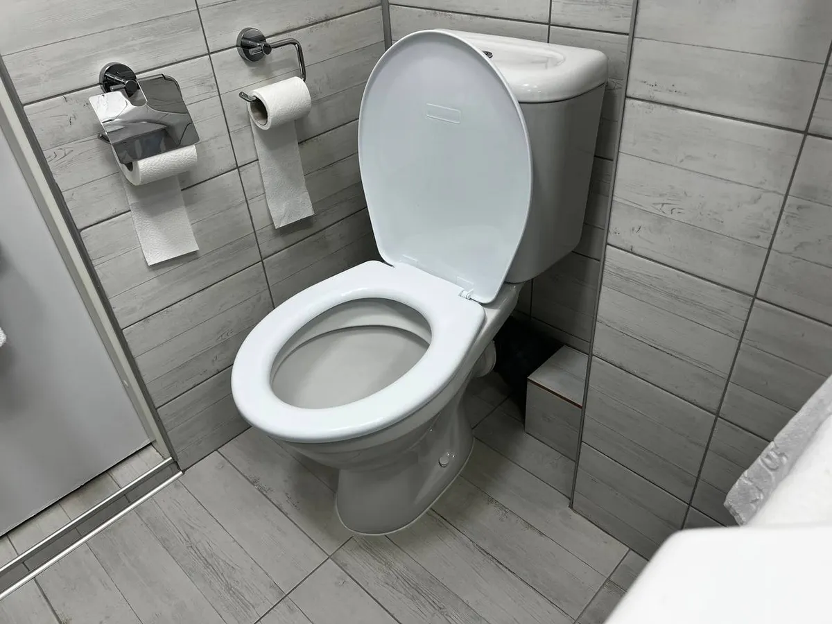 Эта ошибка во время мытья унитаза способствует стойкой вони — все это делают, потом удивляются