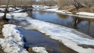 Владимирская область готовится к рекордному паводку, собрали группу из 6500 спасателей