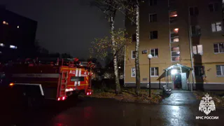 В Рязани из горящих квартир спасли двухлетнего мальчика и мужчину