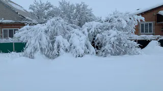В Рязанской области хотят ликвидировать 3 деревни