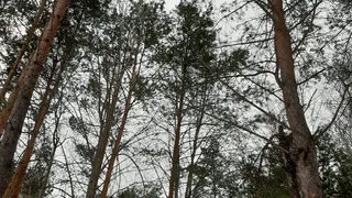С сегодняшнего дня в Татарстане объявили штормовое предупреждение