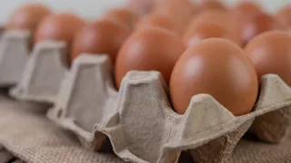 Стабилизировать цены на яйца в России будут яйцами из Турции и Азербайджана