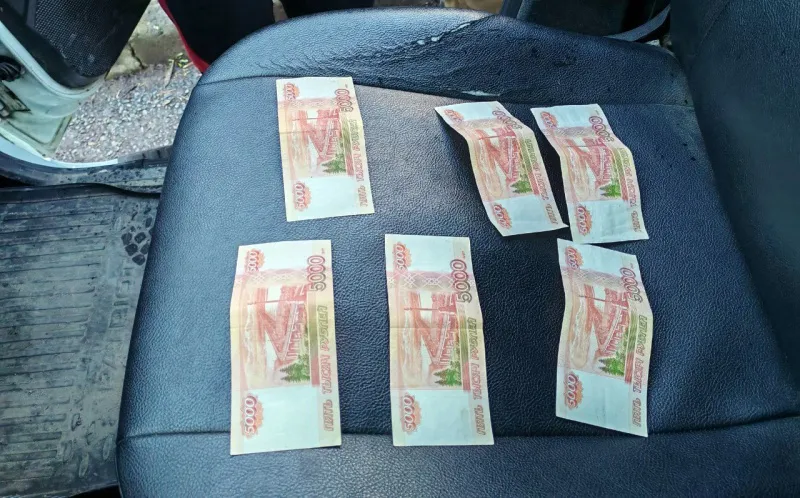 В Челябинской области мужчине грозит срок за подкуп полиции