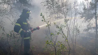Длина кромки горения леса под Рязанью уменьшилась за сутки в два раза