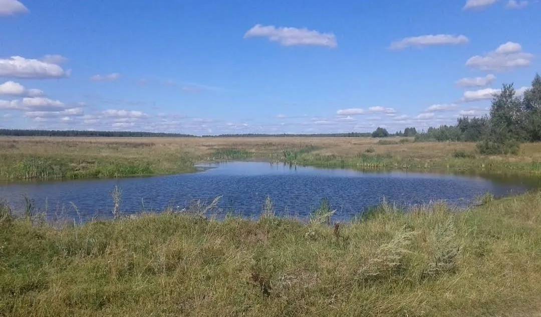 В населенных пунктах Меленковского района не обустроили противопожарные водоемы