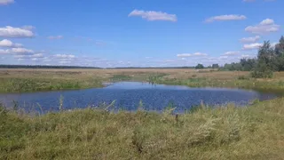 В населенных пунктах Меленковского района не обустроили противопожарные водоемы