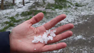 Аномально теплая зима обернётся катастрофой для дачников: синоптики рассказали, чего ждать садоводам