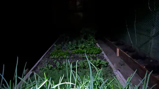 Платите только за свет: как получить ведро зелени с одного подоконника, забыв про землю и горшки