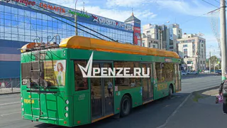 «Зеленые» против «рыжих»