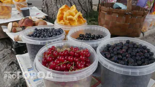 "Эта ягода - самая вредная": а мы ее покупаем как деликатес, еще и детей заставляем есть