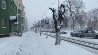 «Зимой начнется то, чего не было с 1772 года». Синоптики предупредили, к чему стоит готовиться