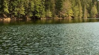 Во Владимирской области предупреждают об опасности заражения на воде