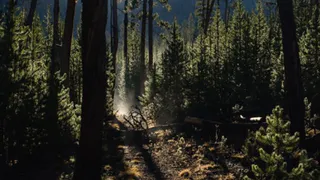 В Киржачском районе ограничили доступ в леса вокруг воинской части