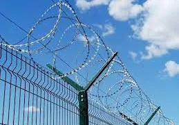 Жителю Пензы вынесли приговор за пропаганду неонацизма