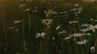 Корабль с золотом причалит к этим знакам: кто разбогатеет после 29 мая