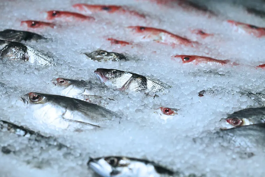 Как правильно выбрать рыбу для здоровья: советы и рекомендации