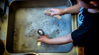 Немцы не ополаскивают посуду после моющего средства — идут на хитрость: причина поражает — дело не в экономии