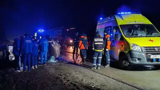 На трассе Владимиром в ДТП с грузовиком и легковушкой пострадали три человека и животные