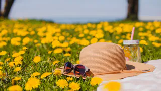 Прогнозы синоптиков: теперь известно, когда летнее тепло достигнет Владимирской области