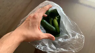 Выбросил все инструкции по домашним огурцам в мусор: За 6 недель получил урожай на подоконнике 15 огурцов с куста