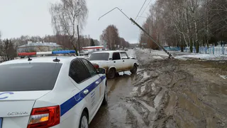 Под Рязанью водитель ВАЗа 2 апреля врезался в столб из-за погоды