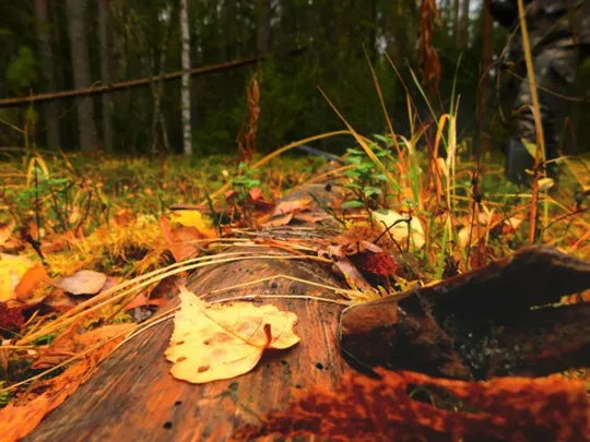 Дожди и холод ожидается в Чувашии 28 октября