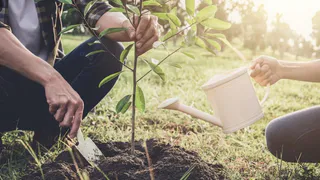 Во Владимирской области стартовала Всероссийская акция «Сад памяти»