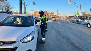 Каждый водитель в России должен срочно сделать это до 1 апреля. Иначе запретят садиться за руль