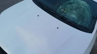 Под Рязанью 25-летняя водитель Lada сбила 13-летнюю девочку