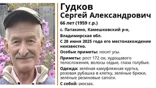 В Камешковском районе ищут 66-летнего мужчину в розовой клетчатой рубашке