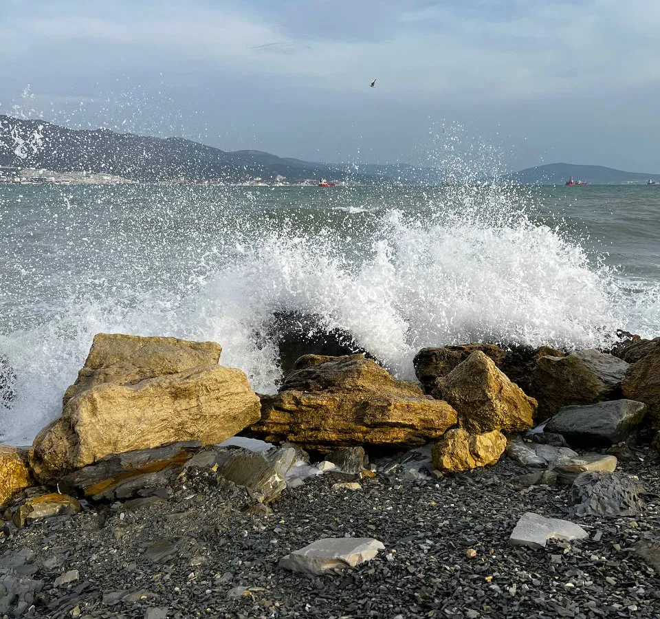 "Грязное море и неприятные люди": честный отзыв российских туристов об отдыхе на курортах Черного моря