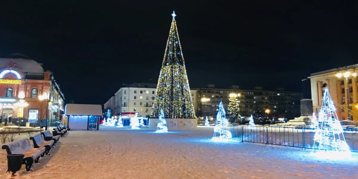 Подростки обезобразили новогоднюю елку в Рязани, ущерб составил около 50000 рублей