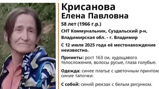 В СНТ Коммунальник под Суздалем пропала 58-летняя женщина в синем платье и с рюкзаком