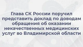 Бастрыкин потребовал доклад по делу о гибели младенцев в больнице Владимира