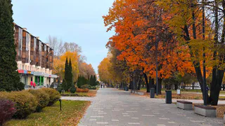 Прогноз погоды в Нижнекамске на субботу, 11 октября