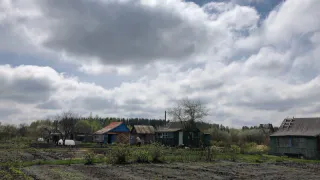 Самое популярное растение у дачников теперь запретили выращивать: новое правило с 8 апреля